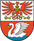 Havaneser Züchter Raum Prenzlau